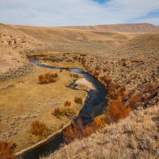 Mill Creek Canyon Ranch | Lima, MT