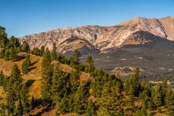 Professional Ranch Photographer - Saul Creative Bozeman Montana