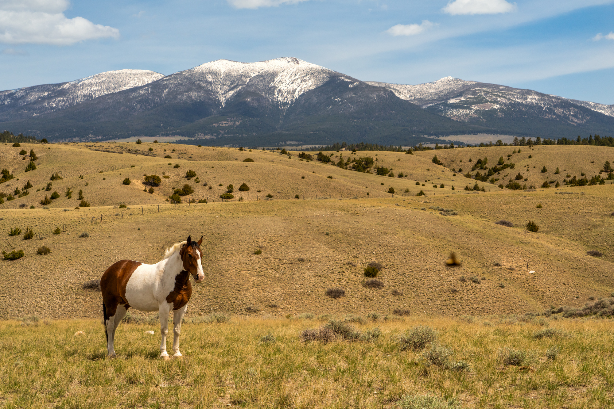 TBD S Fork Ray Creek Road, Townsend, MT 59644