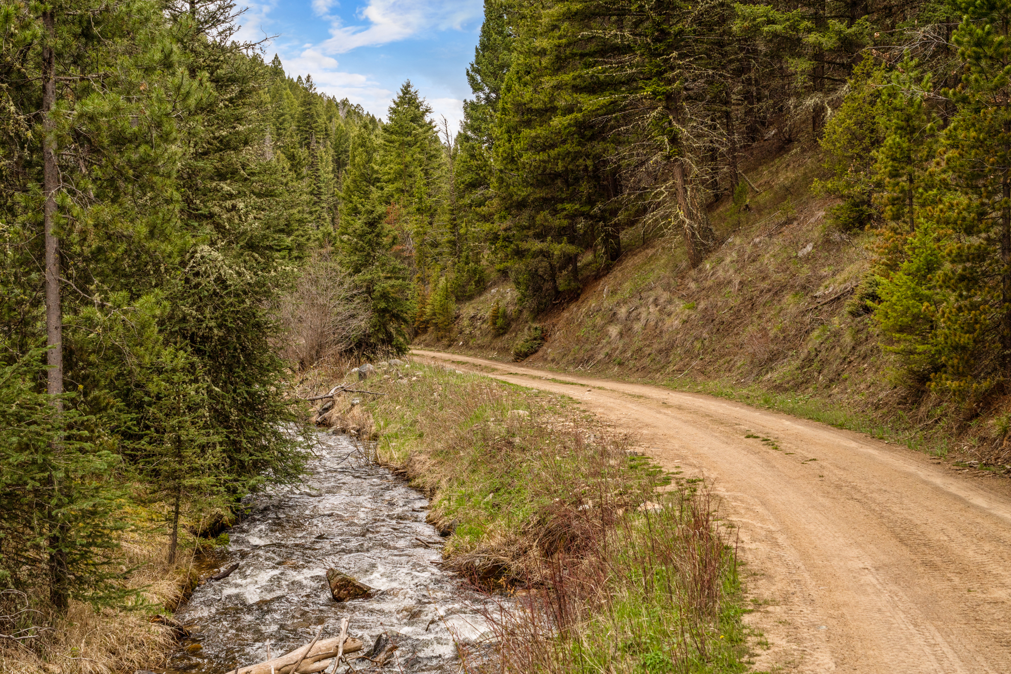 TBD Ramshorn Creek Road, Unimproved Lots, Sheridan, MT 59749